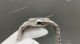 20260501 15 (2)_th.jpg